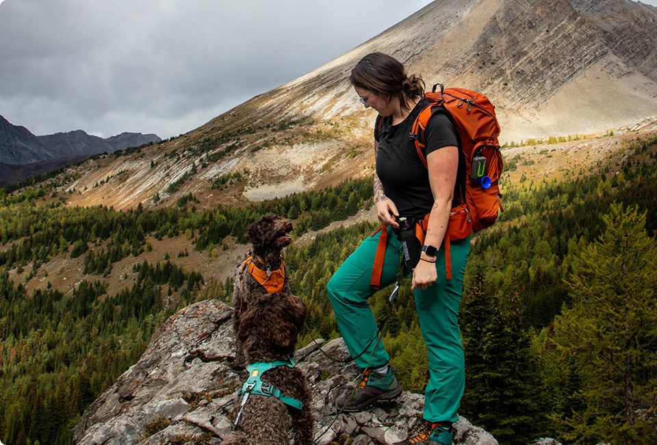 Janine Dersch and two dogs on a rock.