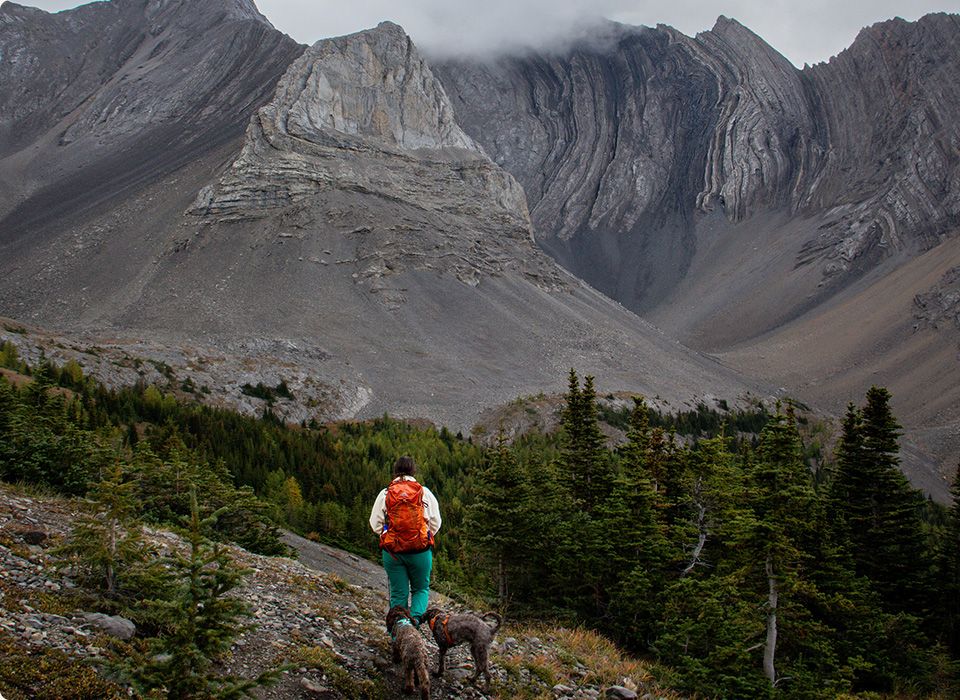 Janine Dersch avec un sac à dos et deux chiens sur une montagne.