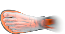 Top view of foot in shoe