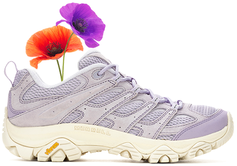 A purple and orange flower in a Moab 3 hiking shoe.