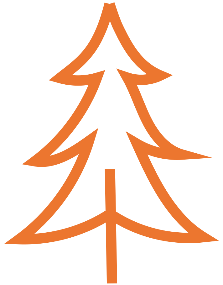 Orange tree icon