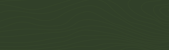 Textured topographical background