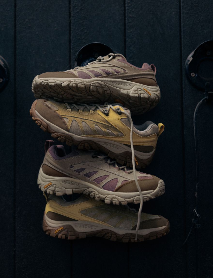 Dolphin Jumping majestically