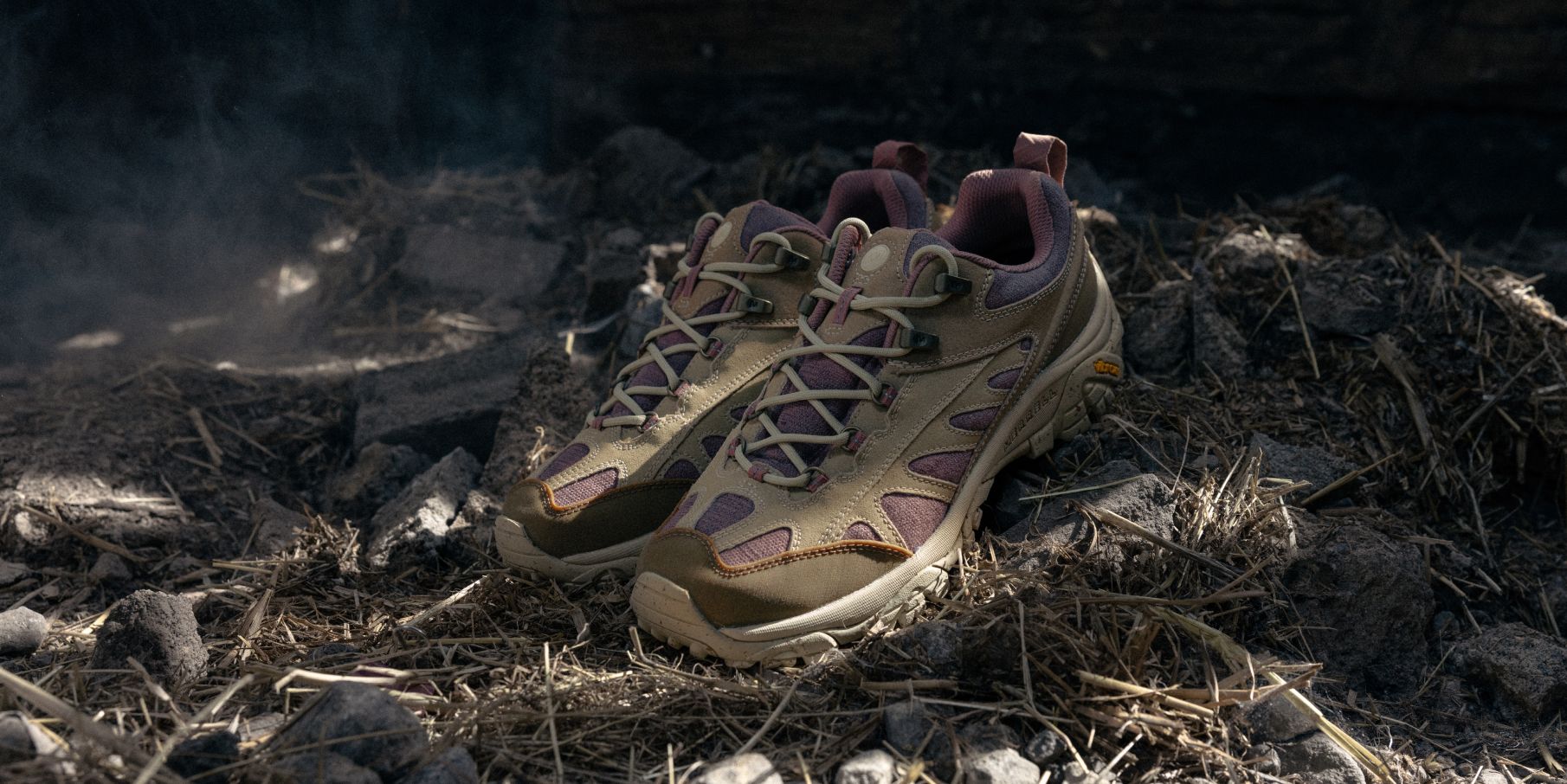 Dolphin Jumping majestically