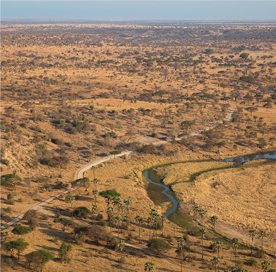 The Journey - Serengeti National Park