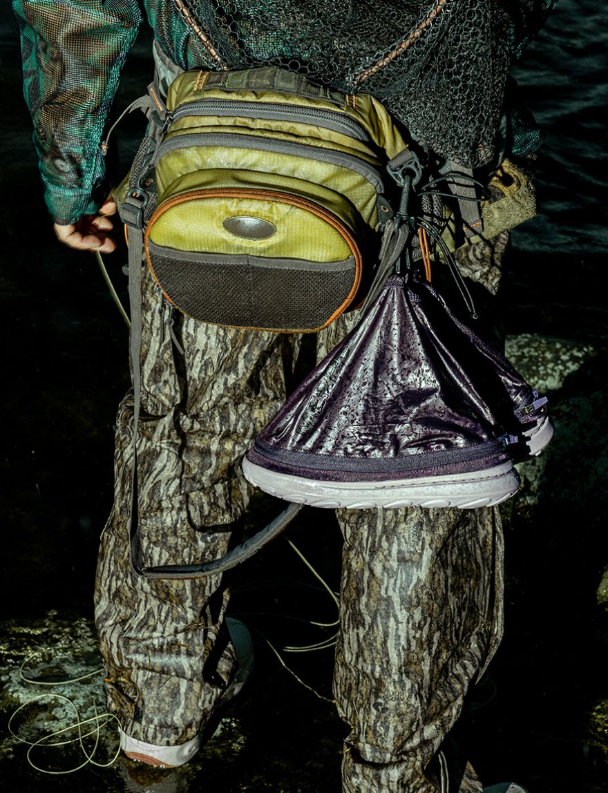 Banner image 1