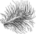 Down Feather