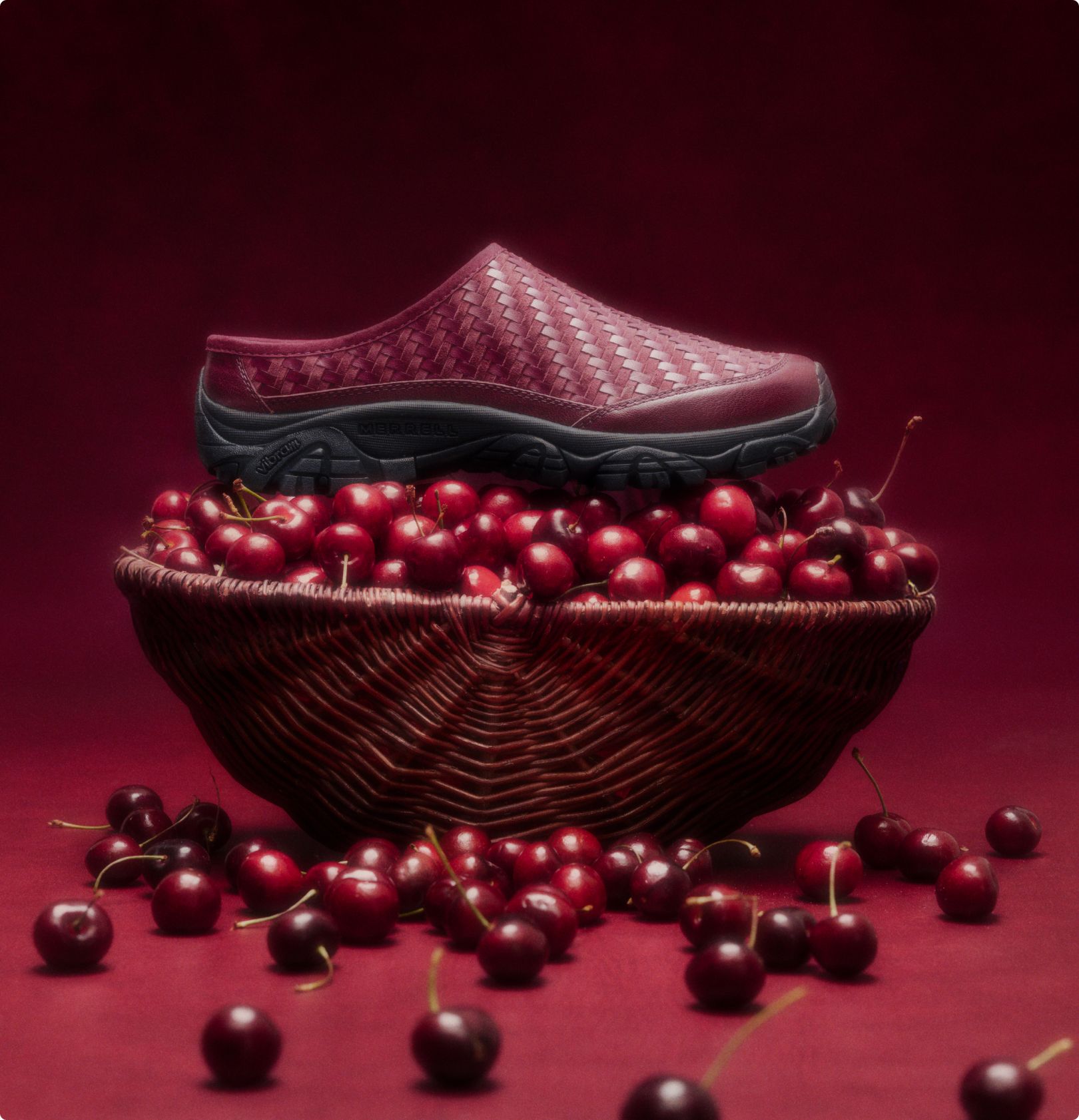 1TRL slipper on cranberries
