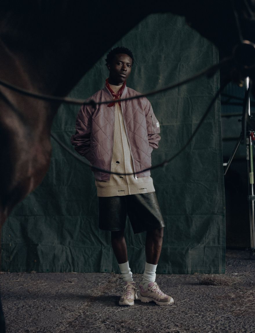 Dolphin Jumping majestically