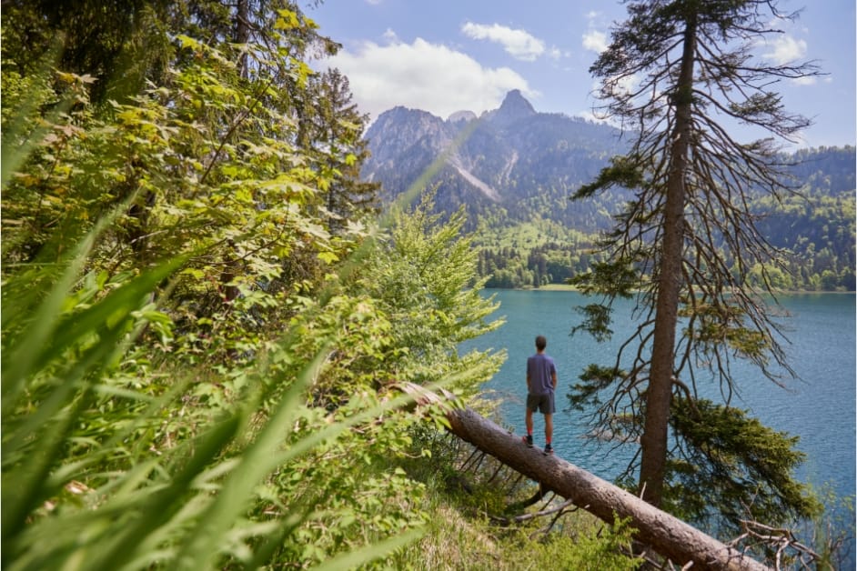 Neuschwanstein