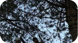 YHA - United Kingdom