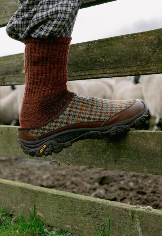 Une chaussure Merrell Harris Tweed posée sur une clôture en bois, avec des moutons en arrière-plan.