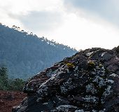 Merrell Test Lab <span class='lg-only'>(MTL)</span>