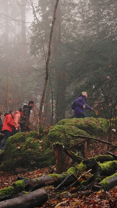 The Merrell Fund