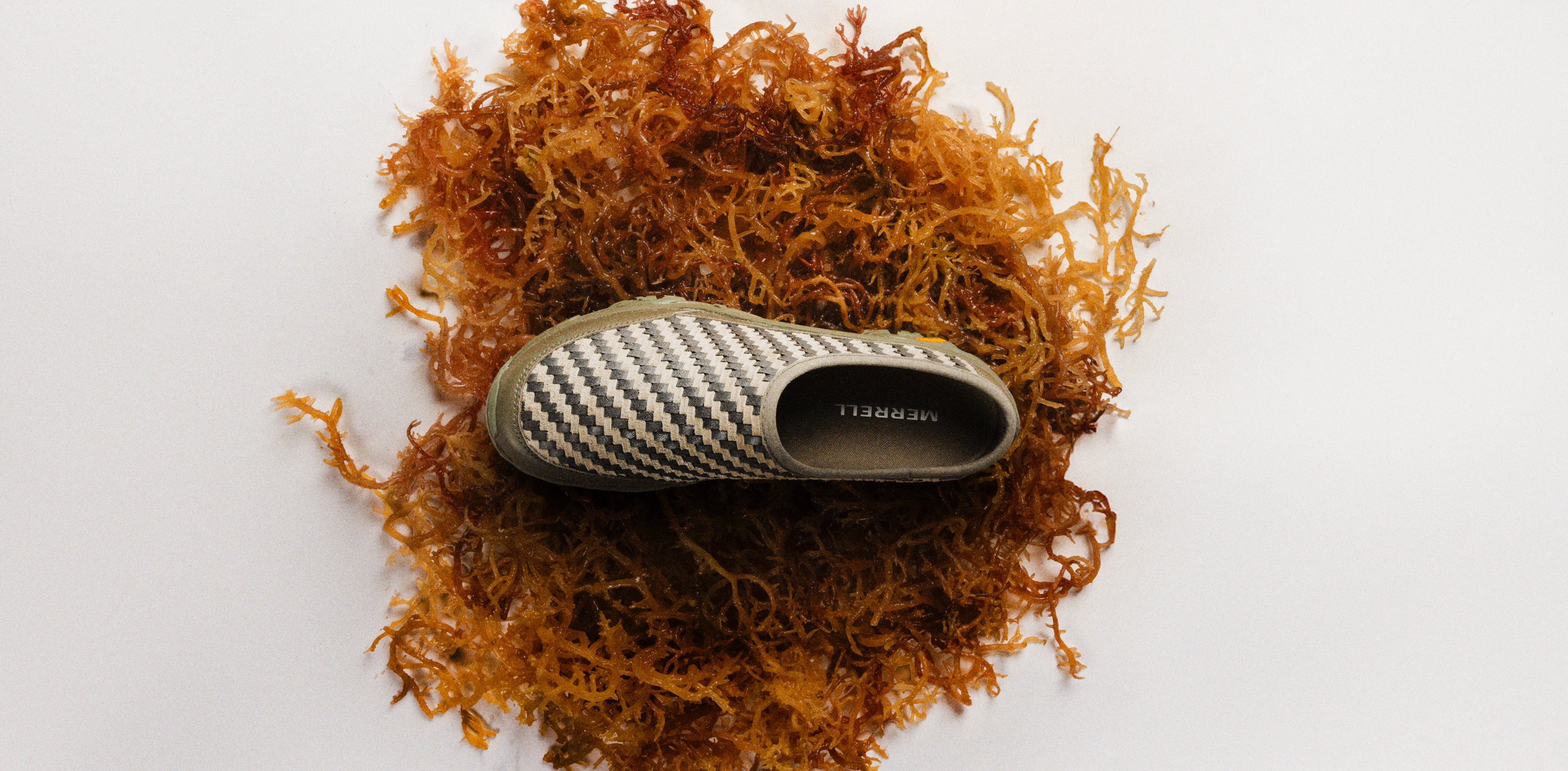 Merrell 1TRL Moab 2 Slide Leather Woven shoe resting on a bed of golden seaweed.