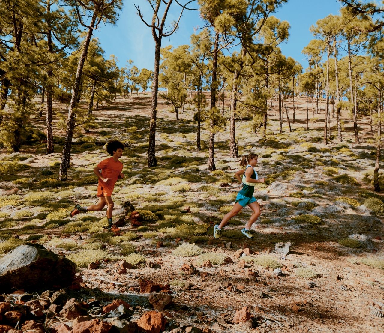 Artistic photo of people running outside.
