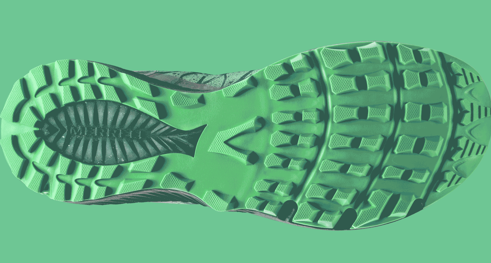 Merral X Dogfish Head Shoe Animation