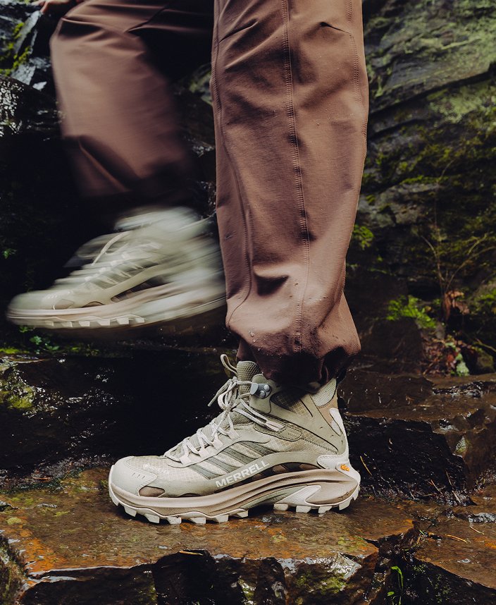 Hiking shoes