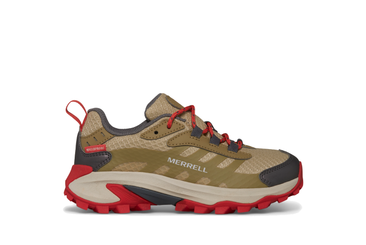 Hiking Shoes.
