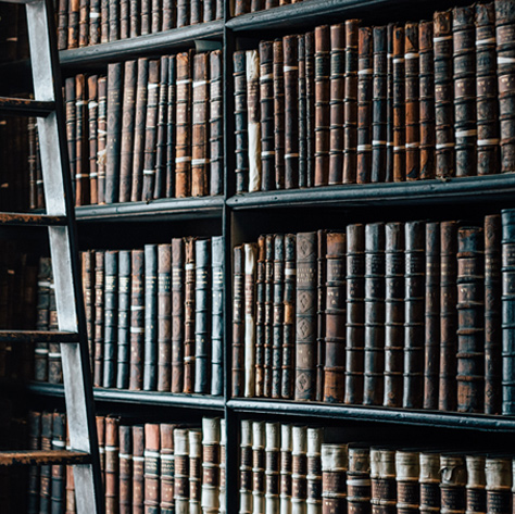 Shelves of books in a law library.