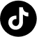 Tiktok icon