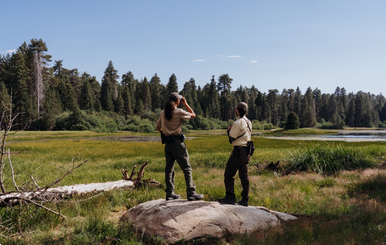 2 conservation workers in a field.