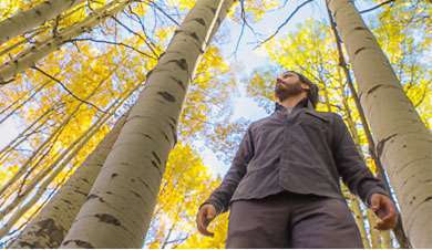 Nick Zupancich standing in a grove of fall aspens.