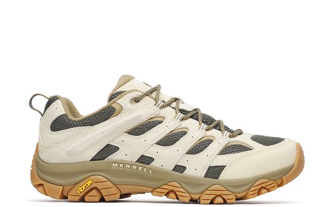 Men’s Hiking Shoes
