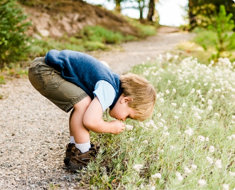 Kids' Favorites
