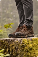 Close up of Merrell hiking shoes standing on a tree stump.
