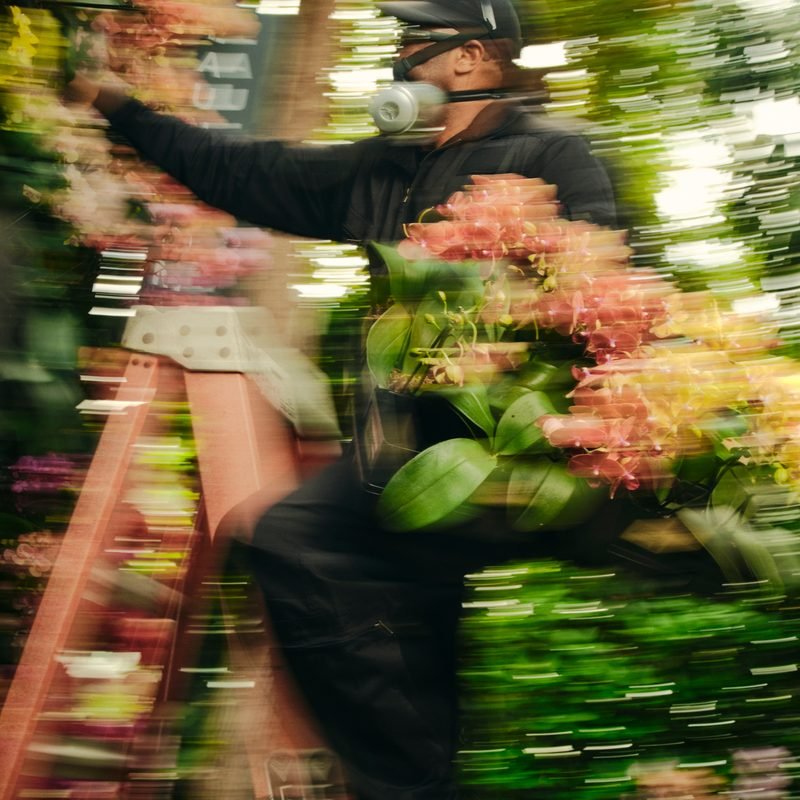 Mr. Flower Fantastic moving past flowering plants inside a greenhouse