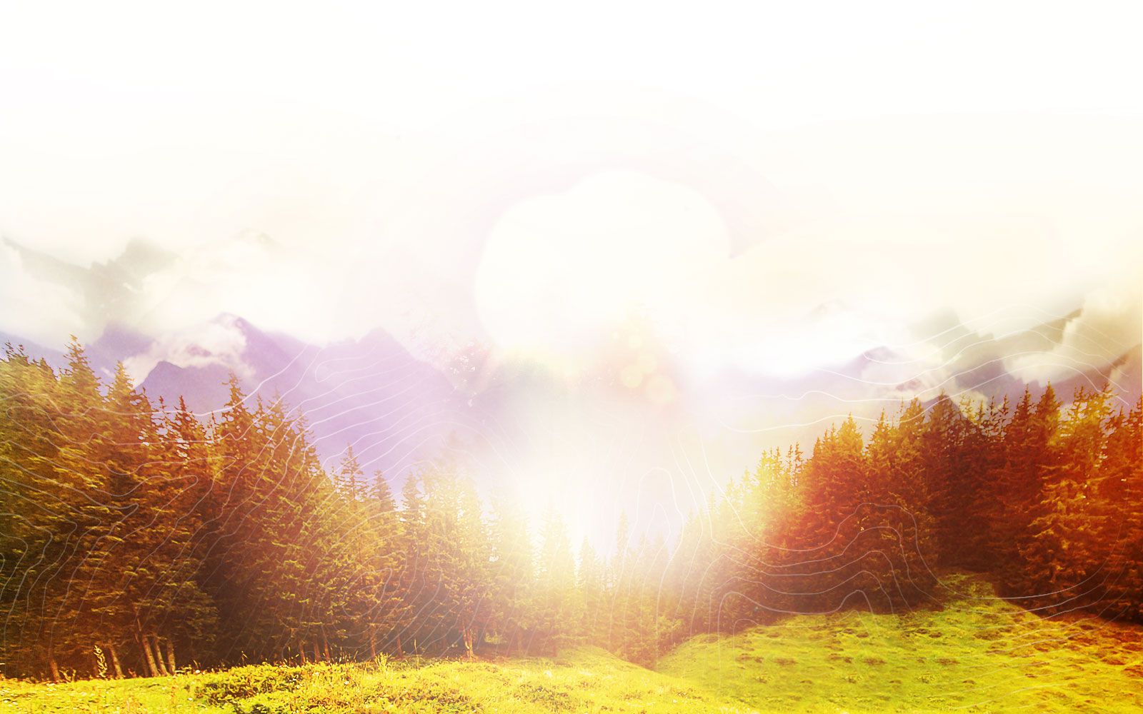 Hit the Trail<br /> and Don’t Look Back